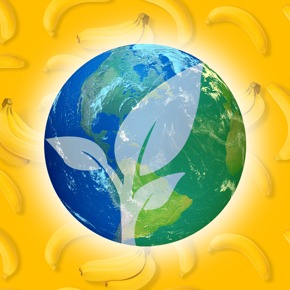 Environmental